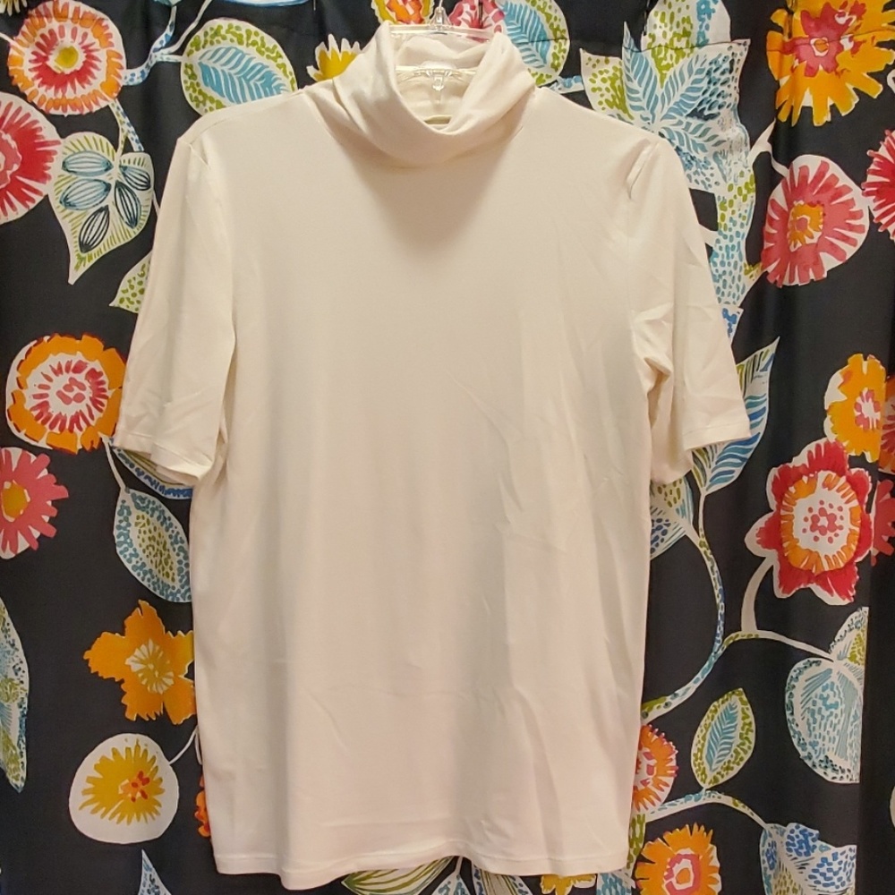 NWOT BR Short Sleeve T-neck